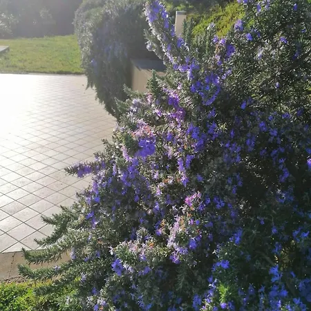 Vakantieboerderij Eremo Dei Poeti Diffuso