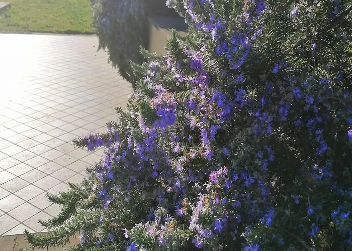 בית חווה Eremo Dei Poeti Diffuso